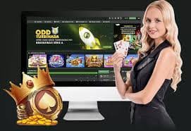 Sân bóng đá và cầu lông trong danh mục sportsbook của vic88